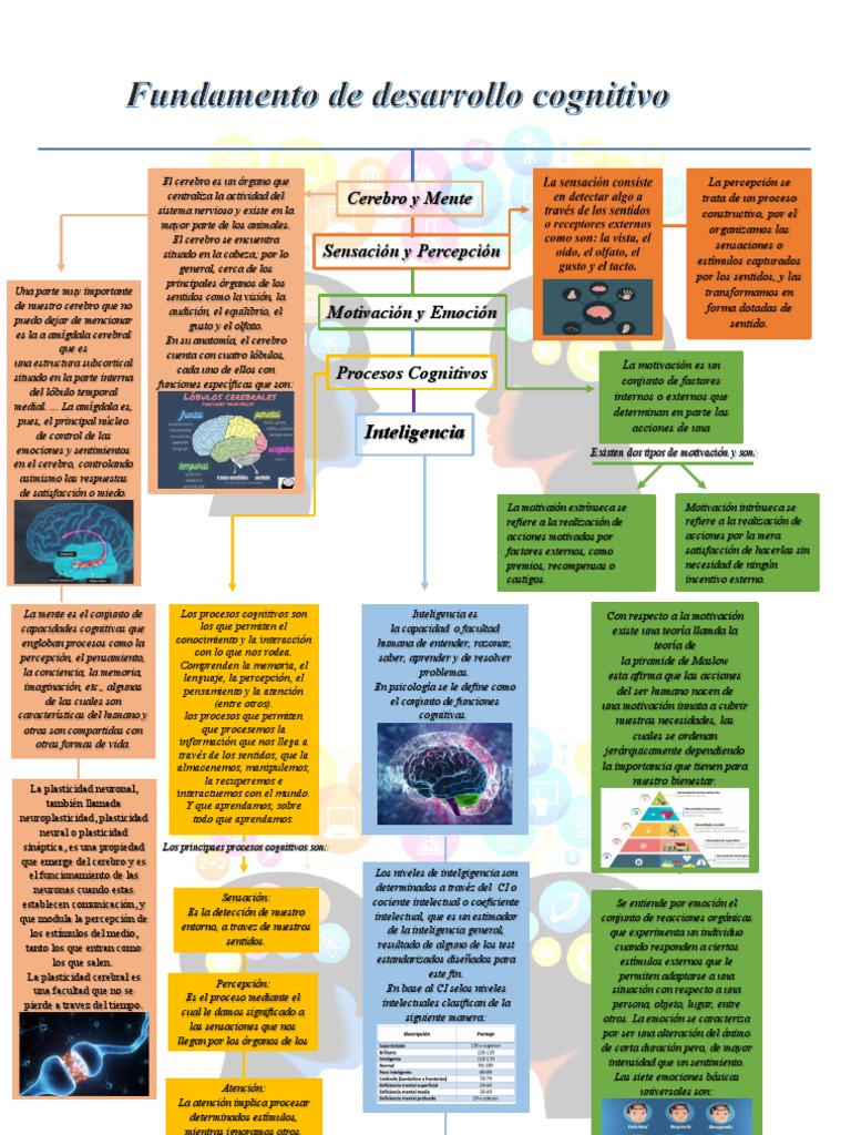 Procesos Cognitivos y Desarrollo Infantil | PDF | Las emociones | Cerebro