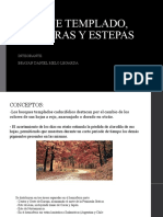 Bosque Templado, Praderas y Estepas