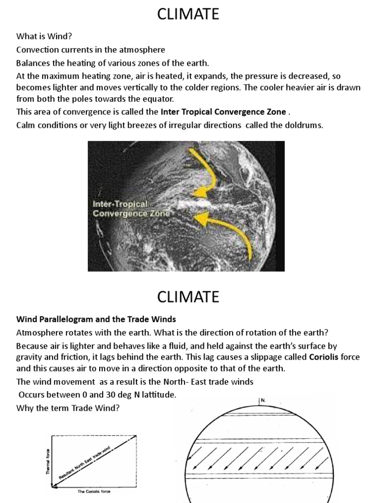 Understanding Climate: Wind and Weather Elements | PDF | Humidity | Wound