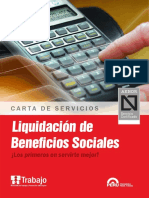 Cartas Servicios Liquidaciones