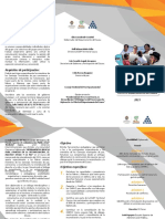 01 Diplomado Paz PDF