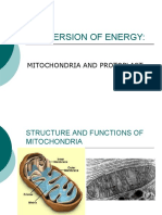 Conversion of Energy:: Mitochondria and Protoplast