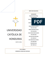 Informe Codigo Del Psicologo-Grupo 4