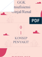 Insuf Renal