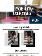 Fit HW Flexibility Exercises