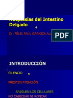 Neoplasias+Del+Intestino+Delgado(Paraclase)