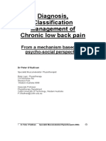 Diagnosis, Classification Management of Chronic Low Back Pain