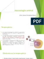 Biotecnología animal semana 15