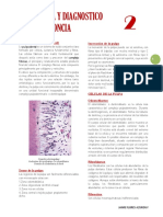Flores Jaime - 2020 - 2 - Patologia y Diagnostico en Endodoncia