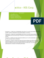 Caso Practico - KSS Corp Control Interno