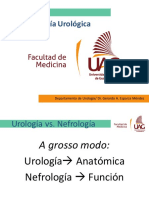 0.1 Anatomía Urológica