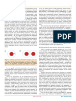 La Entropía Como Creadora de Orden PDF