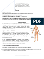 Guía 12 CN Biología 7