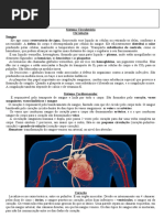 7. Sistema Circulatorio   8. Exercícios
