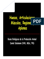 Huesos, Articulaciones, Músculos, Regiones y Aplomos