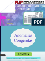 Transtornos de Crecimiento Patologia