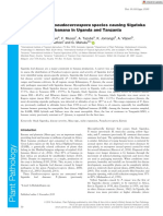 Distribution and severity of banana Sigatoka pathogens in Uganda and Tanzania