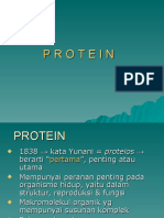 3.PROTEIN_