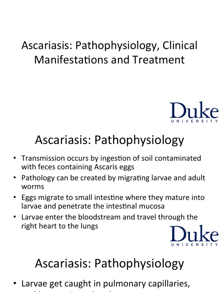 Ascaris Larvae In Lung