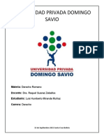 Universidad Privada Domingo Savio