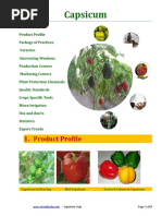 Download Capsicum by ksm4u2288 SN53406075 doc pdf