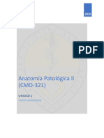 Vasos sanguineos anatomia patologica 2