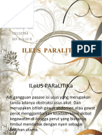 Power Point Ileus Paralitika