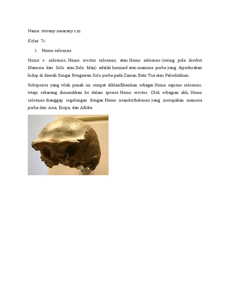 Manusia Purba: Homo Soloensis dan Wajakensis | PDF