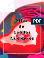 Atlas de Celulas Nucleares
