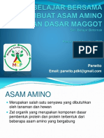 Asam Amino dari Maggot