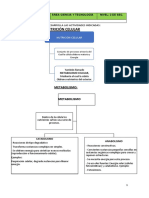 CIENCIAS-nutricion Celular