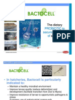 Bactocell Shrimp Hatchery 2011