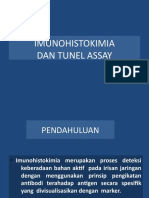 B. Immunohistokimia Dan Tunnel Assay