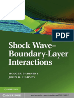 DOM-Shock Wave Boundary