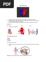 Circulatory System