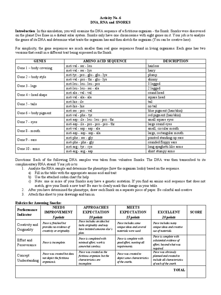 Activity Sheet Lesson 9 Protein Synthesis 1.3 DNA RNA and Snorks