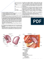 Imunologia - Roteiro 04 - Morfo (2)