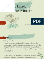 Protein, Lipid, Purin, Dan Primidin