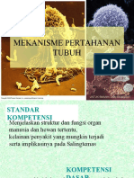 Sistem Pertahanan Tubuh (Imun)