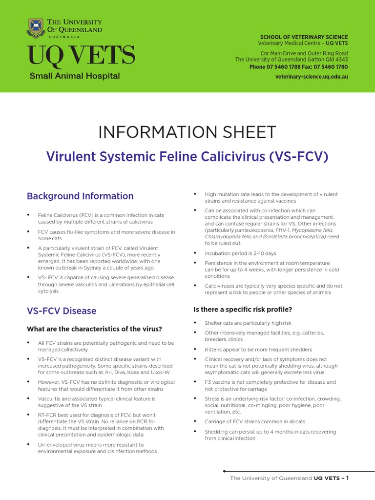Information Sheet: Virulent Systemic Feline Calicivirus (VS-FCV) | PDF ...