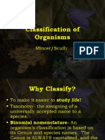 Classification of Organisms