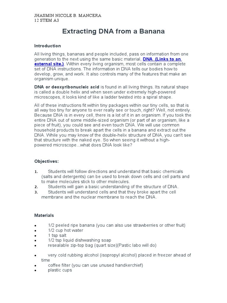Extracting Life's Blueprint Isolating Banana DNA Through a Simple