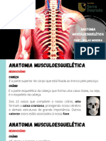Anatomia do Crânio e seus Ossos