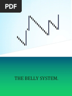 The Belly System User Manual