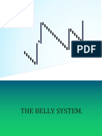 The Belly System User Manual