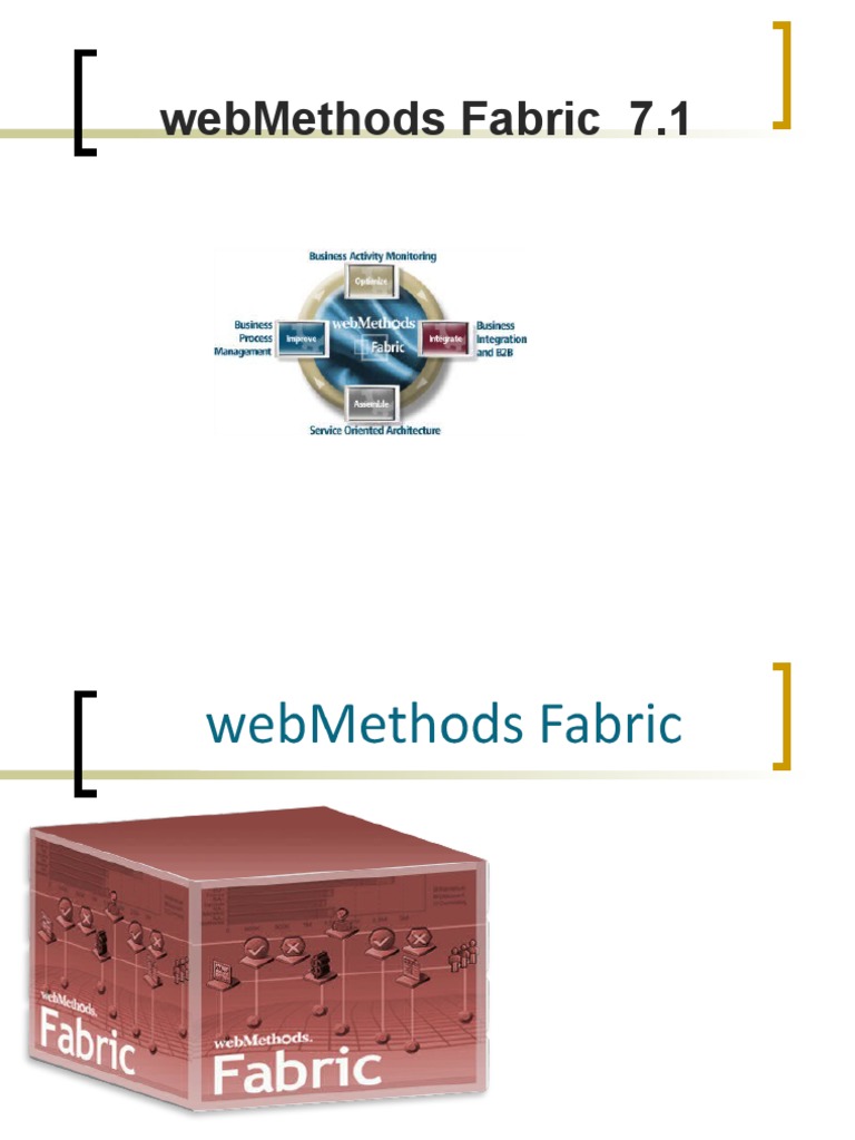 An Overview of the webMethods Fabric Business Process Management ...
