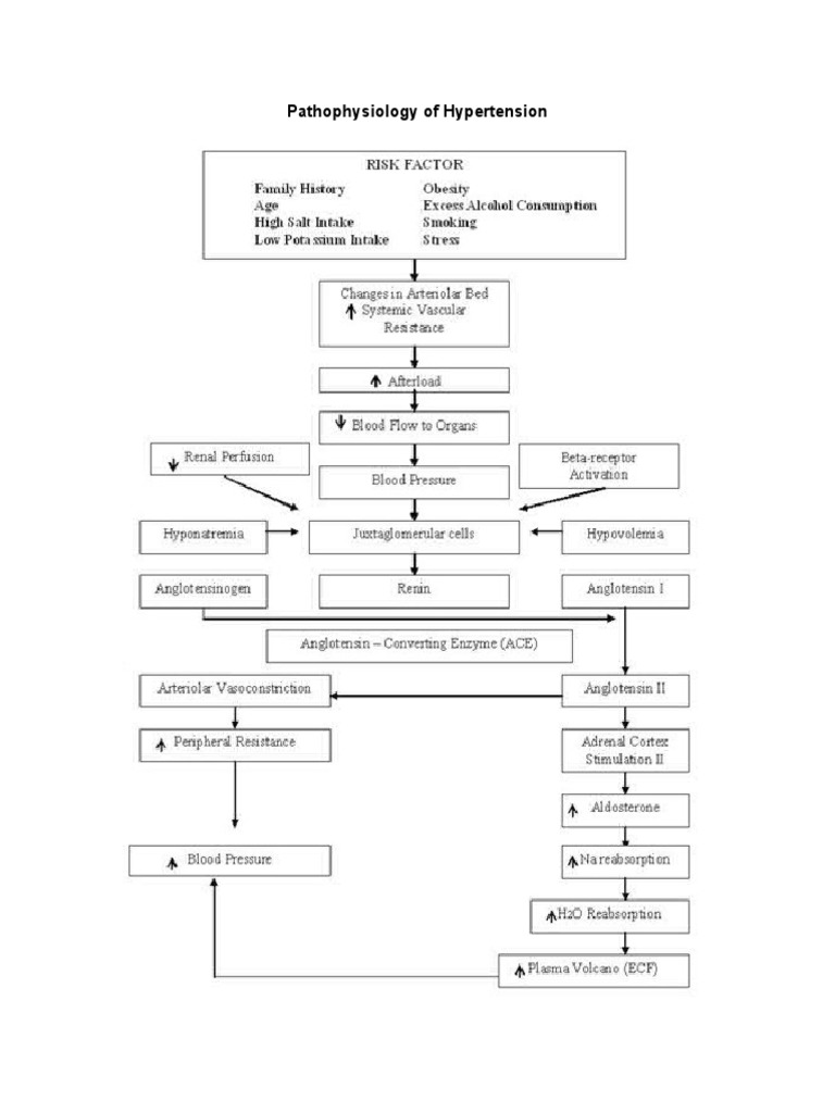 Pathophysiology Of Hypertension Journal