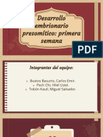 Desarrollo Embrionario Presomítico. Primera Semana