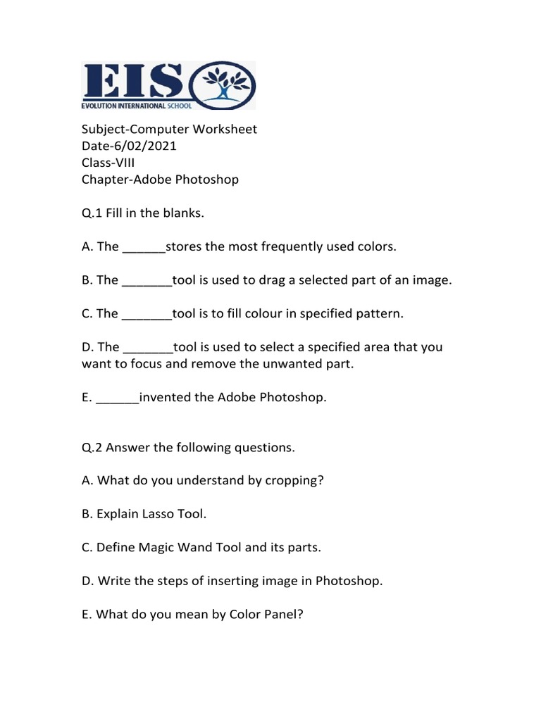 Class 8..computer Worksheet 1 | PDF