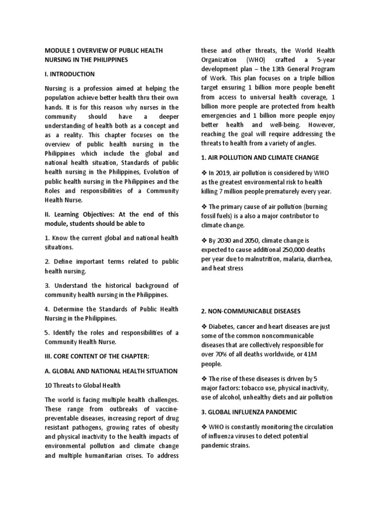 Public Health Nursing in the Philippines | PDF | Influenza | Pandemic
